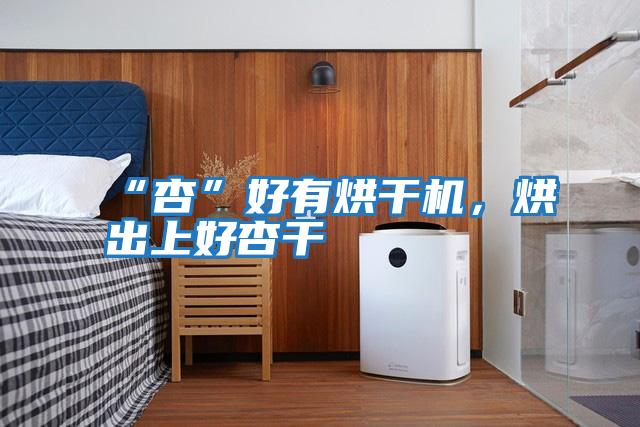 “杏”好有烘干機,烘出上好杏干