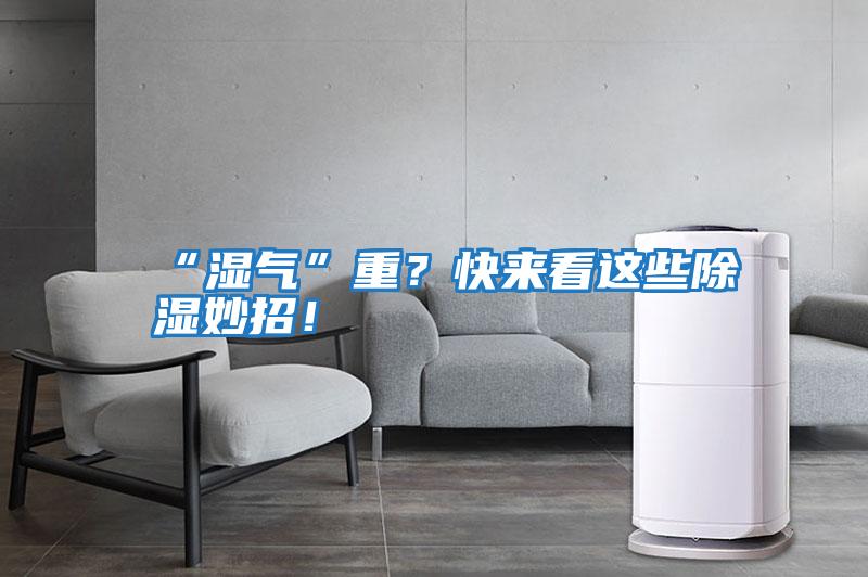 “濕氣”重?快來看這些除濕妙招!