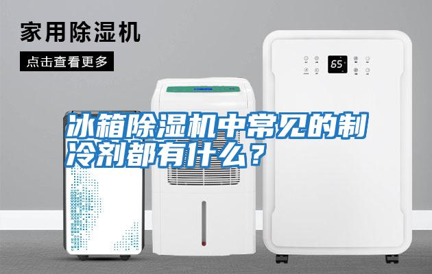 冰箱除濕機中常見的制冷劑都有什么？