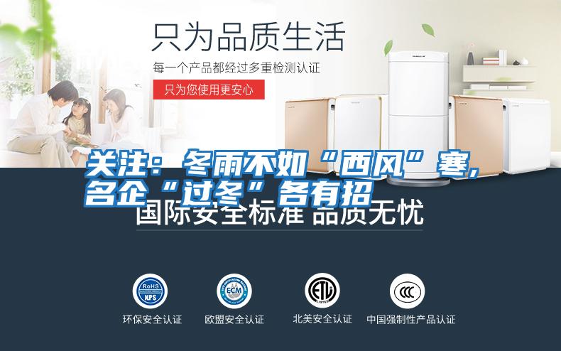 關注:冬雨不如“西風”寒,名企“過冬”各有招