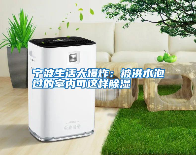 寧波生活大爆炸:被洪水泡過的室內可這樣除濕