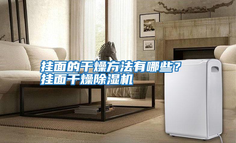 掛面的干燥方法有哪些？ 掛面干燥除濕機