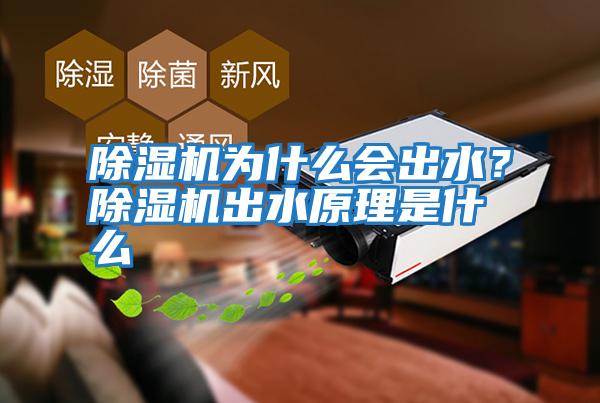 除濕機為什么會出水？除濕機出水原理是什么