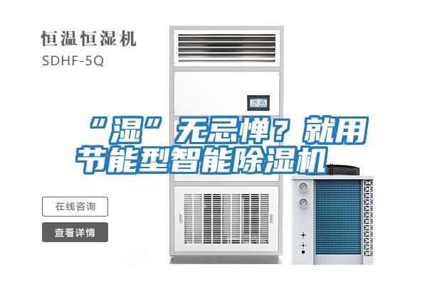 “濕”無忌憚?就用節能型智能除濕機