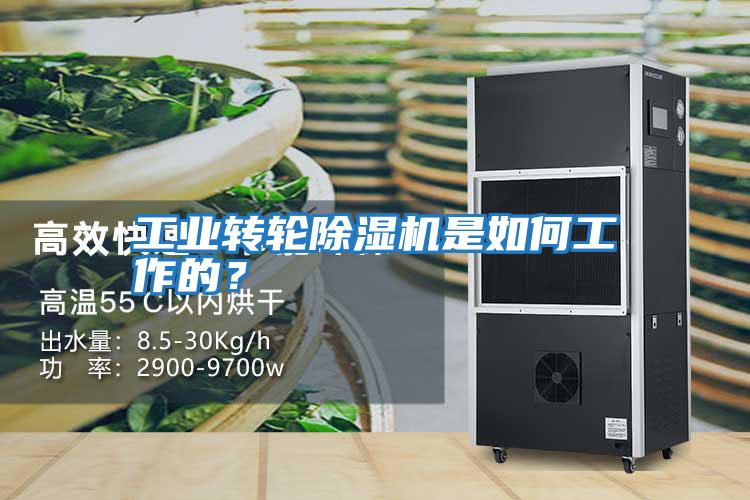 工業(yè)轉(zhuǎn)輪除濕機(jī)是如何工作的?