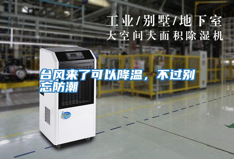 臺風來了可以降溫,不過別忘防潮