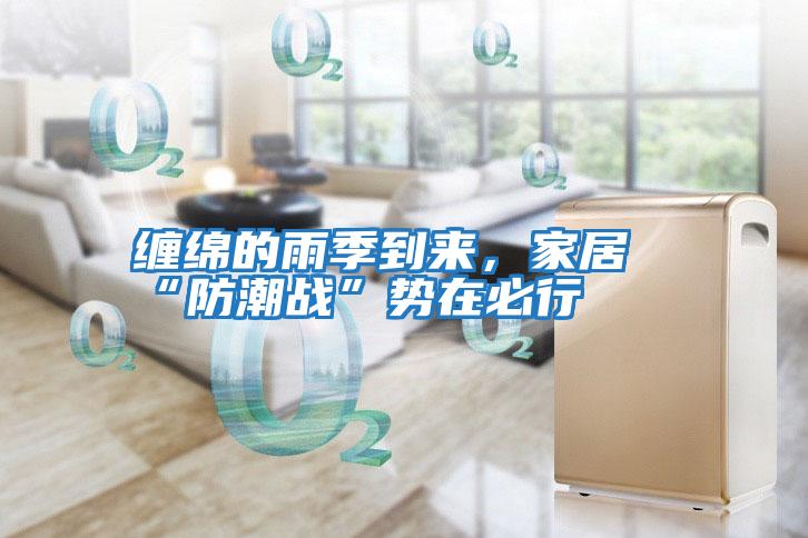 纏綿的雨季到來,家居“防潮戰(zhàn)”勢(shì)在必行