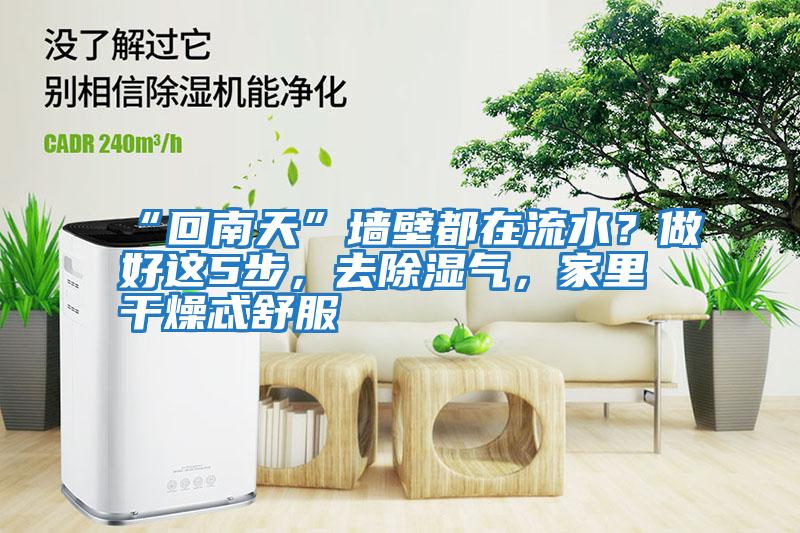“回南天”墻壁都在流水？做好這5步，去除濕氣，家里干燥忒舒服