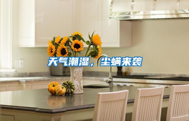 天氣潮濕,塵螨來襲