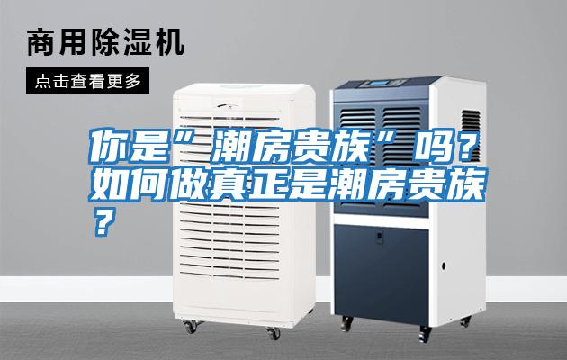 你是”潮房貴族”嗎?如何做真正是潮房貴族?