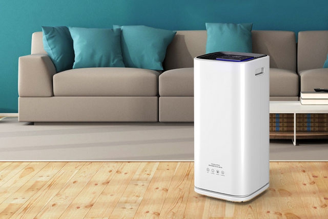 室內(nèi)怎么防蟲防潮才有效？