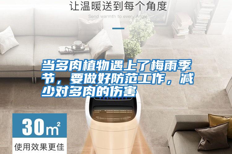 當多肉植物遇上了梅雨季節，要做好防范工作，減少對多肉的傷害