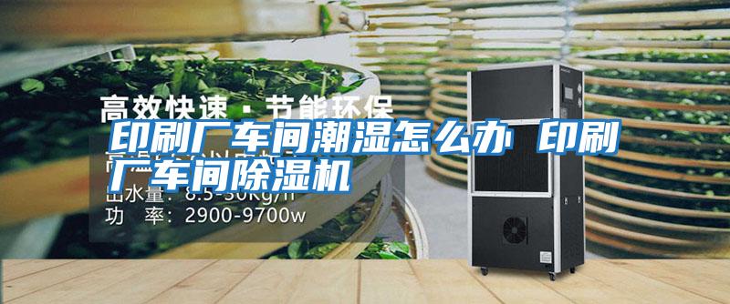 印刷廠(chǎng)車(chē)間潮濕怎么辦 印刷廠(chǎng)車(chē)間除濕機(jī)