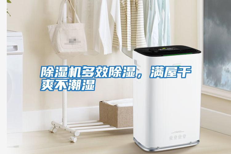 除濕機多效除濕，滿屋干爽不潮濕