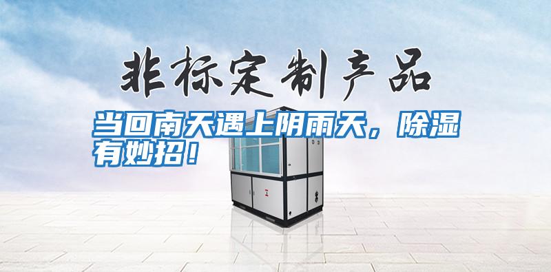 當(dāng)回南天遇上陰雨天,除濕有妙招!