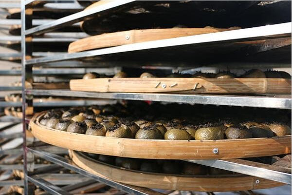 1527217512509796.jpg 柑普茶烘干擺放.jpg