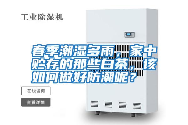 春季潮濕多雨，家中貯存的那些白茶，該如何做好防潮呢？