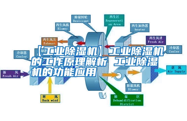 【工業除濕機】工業除濕機的工作原理解析 工業除濕機的功能應用