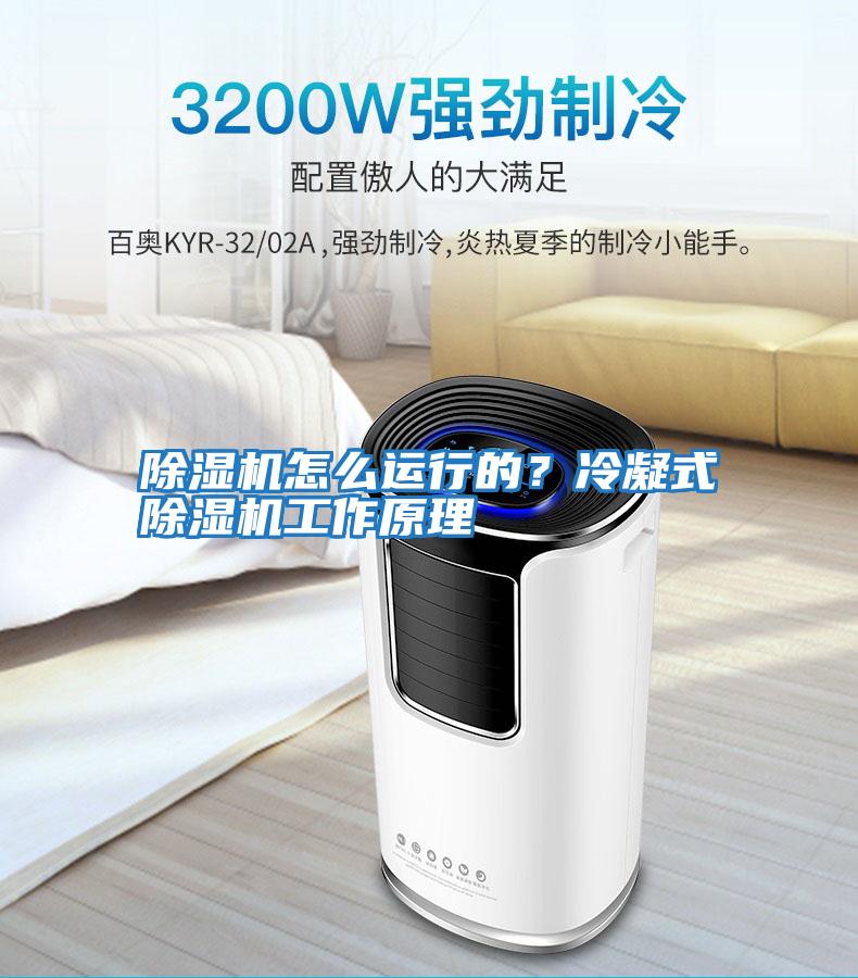 除濕機(jī)怎么運行的?冷凝式除濕機(jī)工作原理