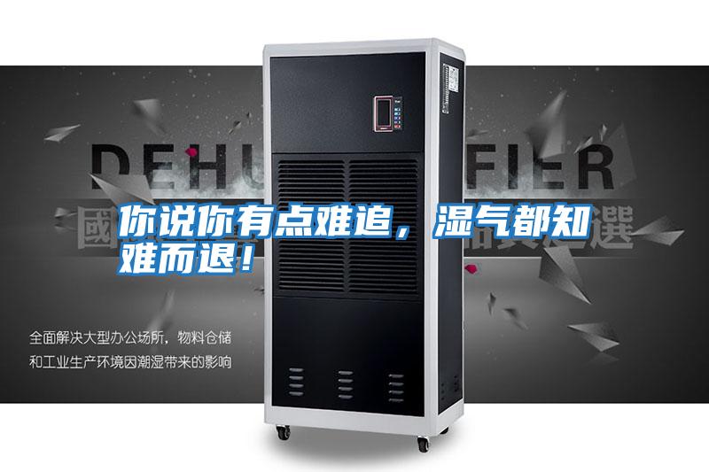 你說(shuō)你有點(diǎn)難追,濕氣都知難而退!