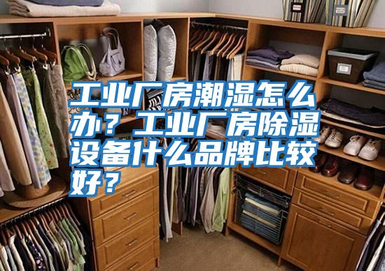 工業廠房潮濕怎么辦？工業廠房除濕設備什么品牌比較好？