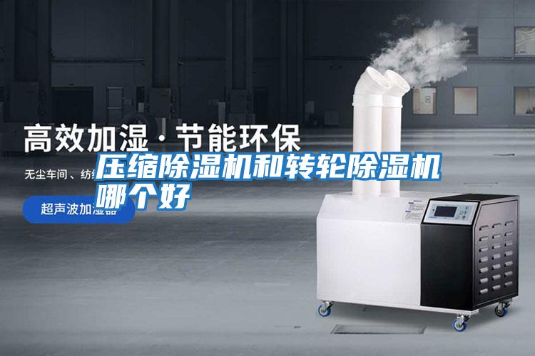 壓縮除濕機和轉輪除濕機哪個好
