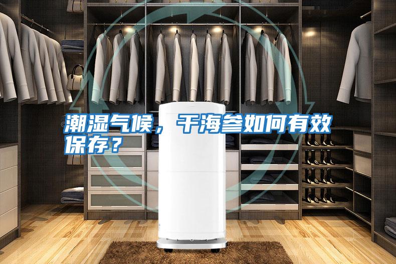 潮濕氣候，干海參如何有效保存？