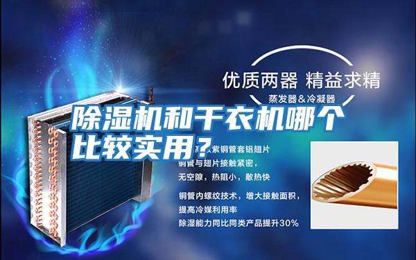 除濕機(jī)和干衣機(jī)哪個(gè)比較實(shí)用?