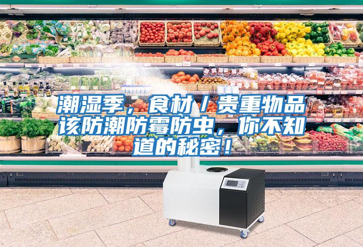 潮濕季，食材／貴重物品該防潮防霉防蟲，你不知道的秘密！