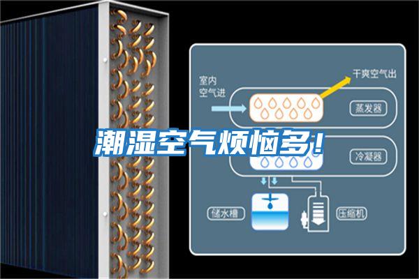 潮濕空氣煩惱多！