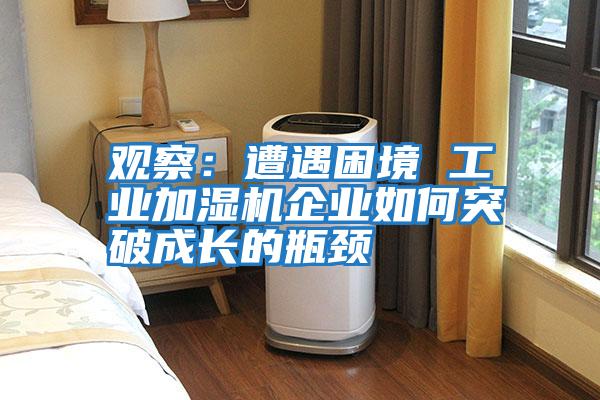 觀察:遭遇困境 工業加濕機企業如何突破成長的瓶頸