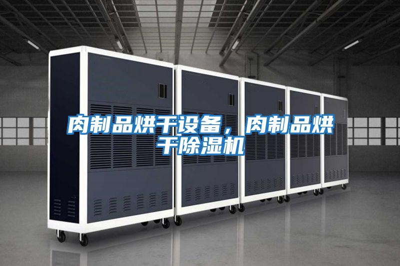 肉制品烘干設備,肉制品烘干除濕機