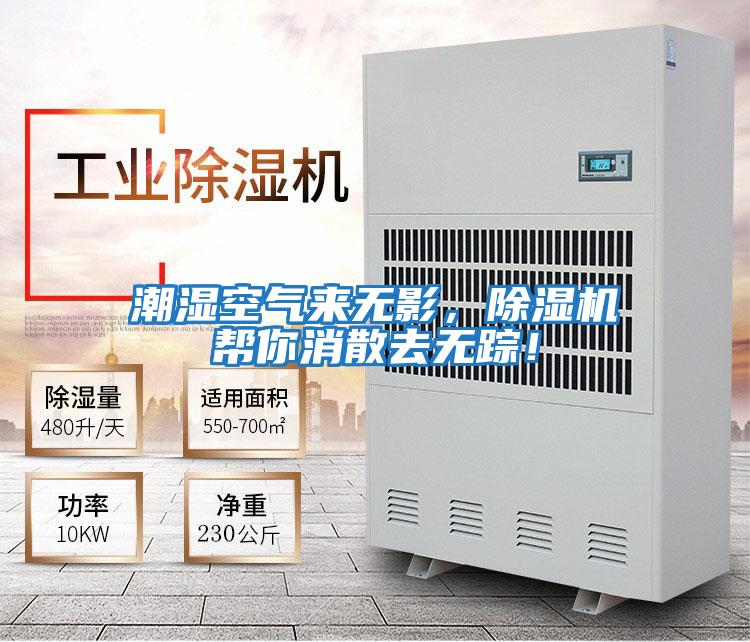 潮濕空氣來無影,除濕機幫你消散去無蹤!