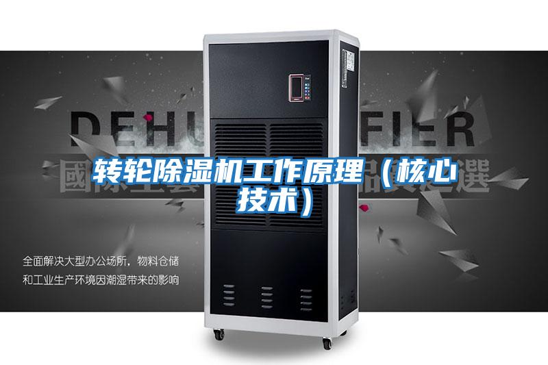 轉(zhuǎn)輪除濕機(jī)工作原理(核心技術(shù))