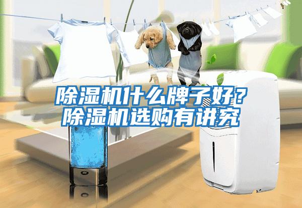 除濕機(jī)什么牌子好?除濕機(jī)選購有講究