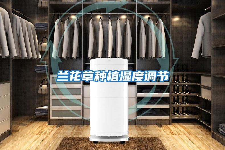 蘭花草種植濕度調節
