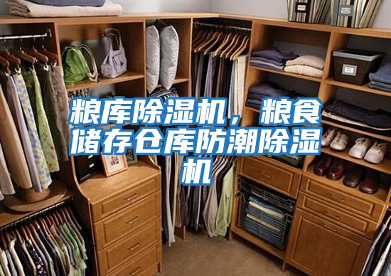 糧庫除濕機,糧食儲存?zhèn)}庫防潮除濕機