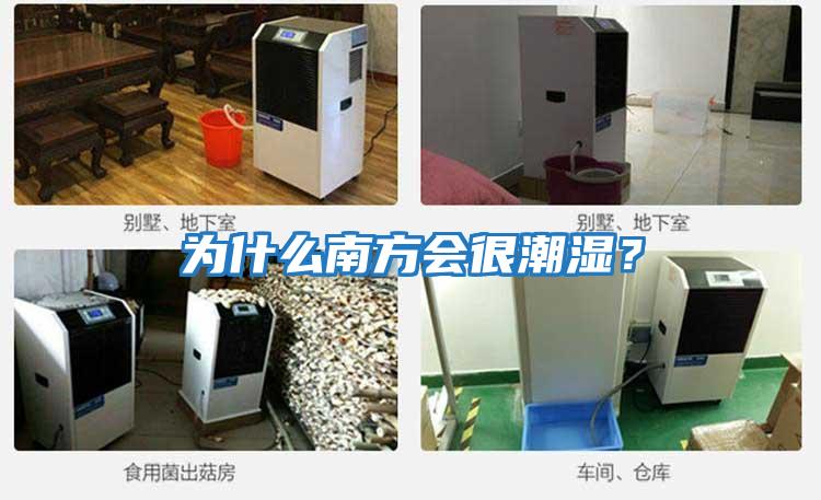 為什么南方會很潮濕？