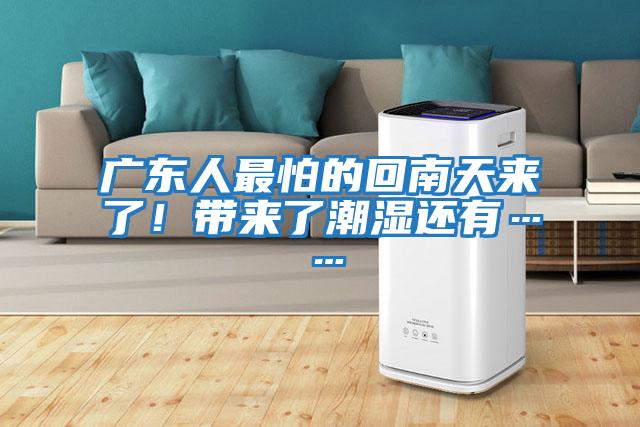 廣東人最怕的回南天來了！帶來了潮濕還有……