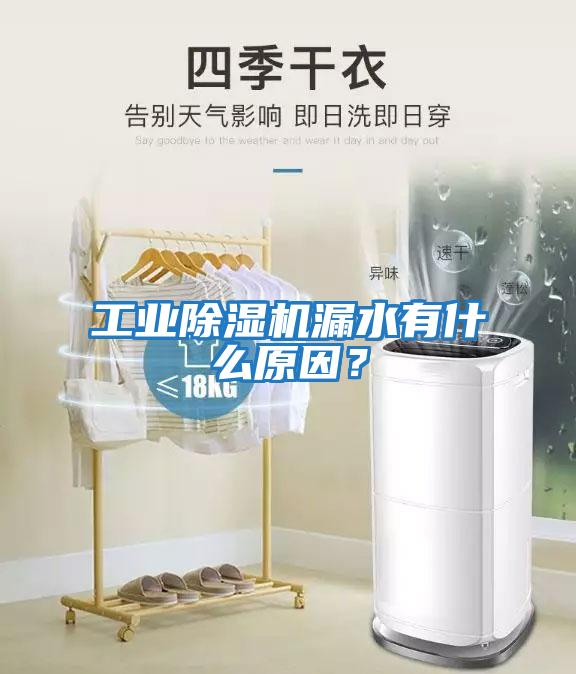 工業除濕機漏水有什么原因？