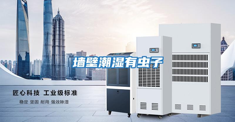 墻壁潮濕有蟲(chóng)子