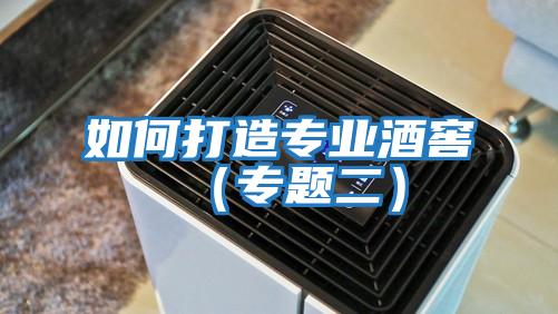 如何打造專業酒窖(專題二)