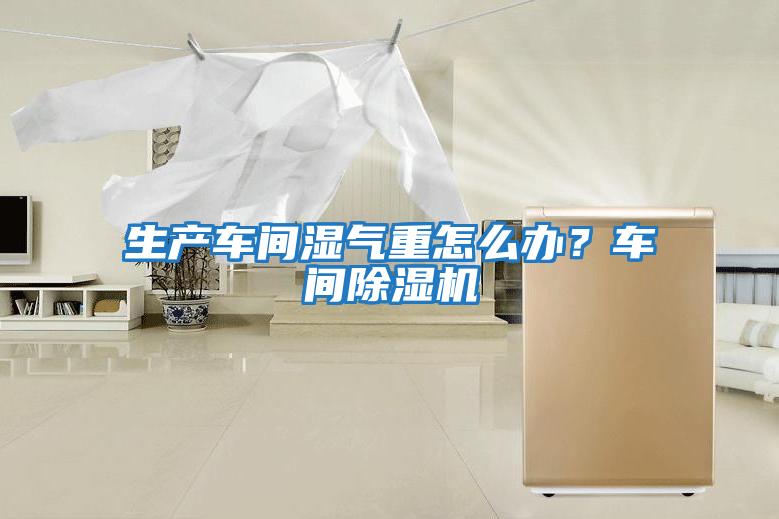 生產車間濕氣重怎么辦?車間除濕機