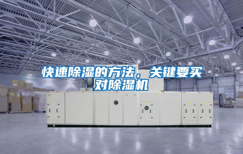 快速除濕的方法,關鍵要買對除濕機