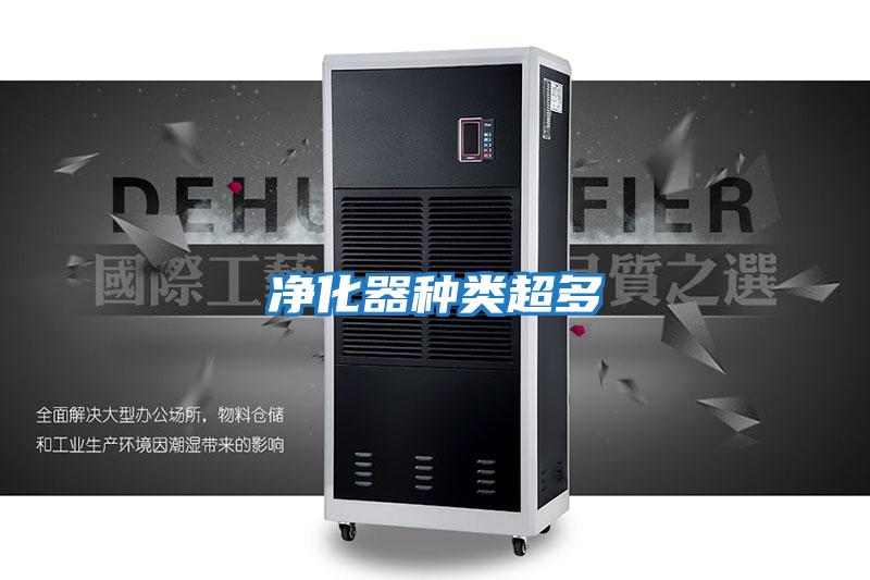 凈化器種類(lèi)超多