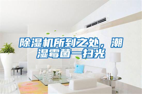 除濕機所到之處，潮濕霉菌一掃光