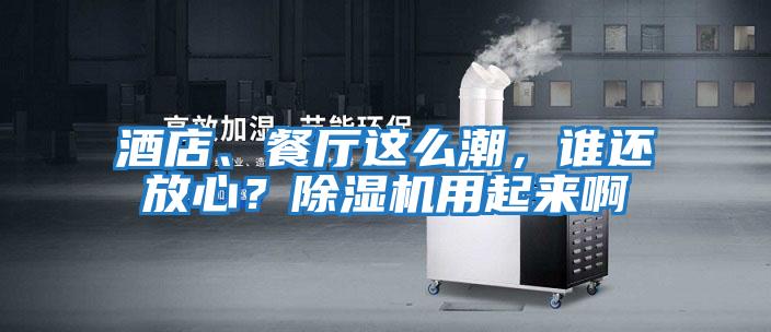 酒店、餐廳這么潮，誰(shuí)還放心？除濕機(jī)用起來(lái)啊