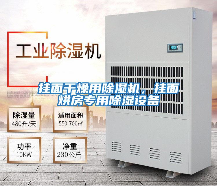 掛面干燥用除濕機(jī),掛面烘房專(zhuān)用除濕設(shè)備