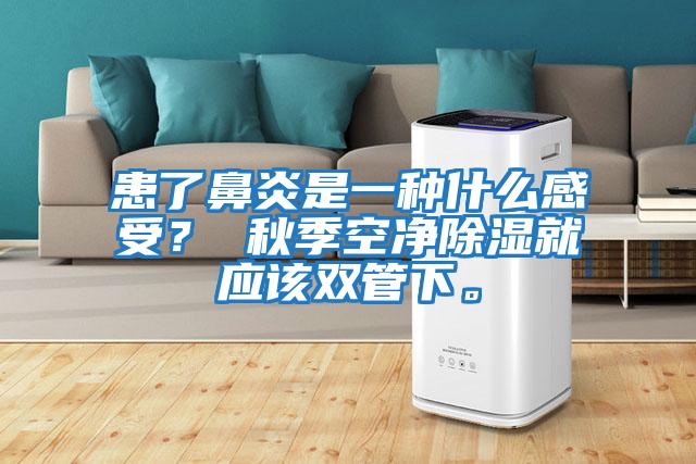 患了鼻炎是一種什么感受？ 秋季空凈除濕就應(yīng)該雙管下。