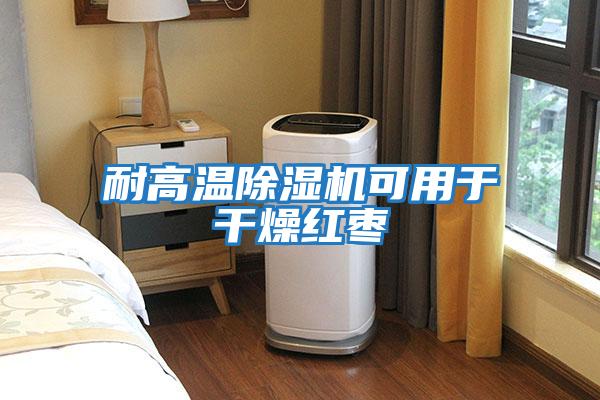 耐高溫除濕機(jī)可用于干燥紅棗